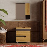 Badezimmermöbel bestehend aus Stehunterschrank & Hängespiegelschrank - Banyox